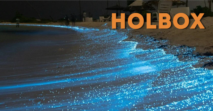 Holbox